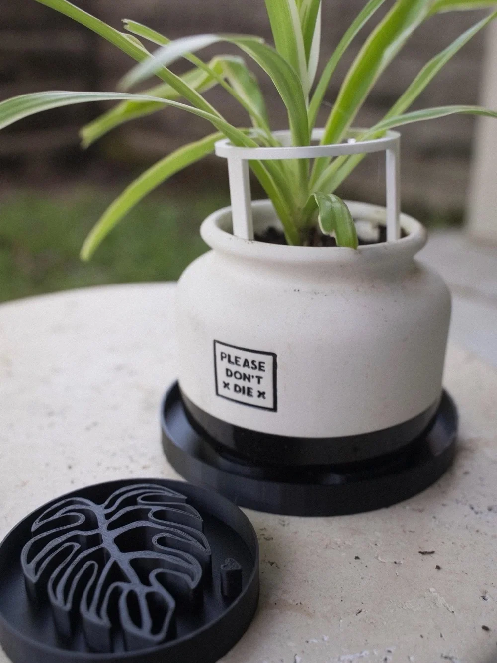 Monstera Leaf Plant Saucer Tray 9” | Large Plant Drip Tray